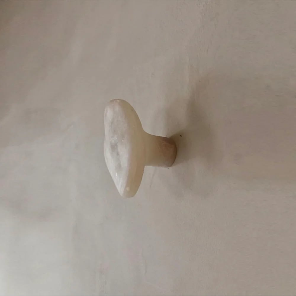 코블 후크 화이트