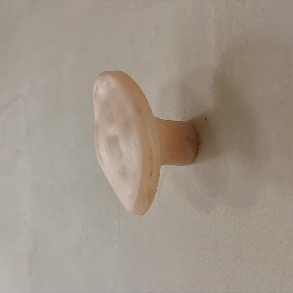코블 후크 로즈