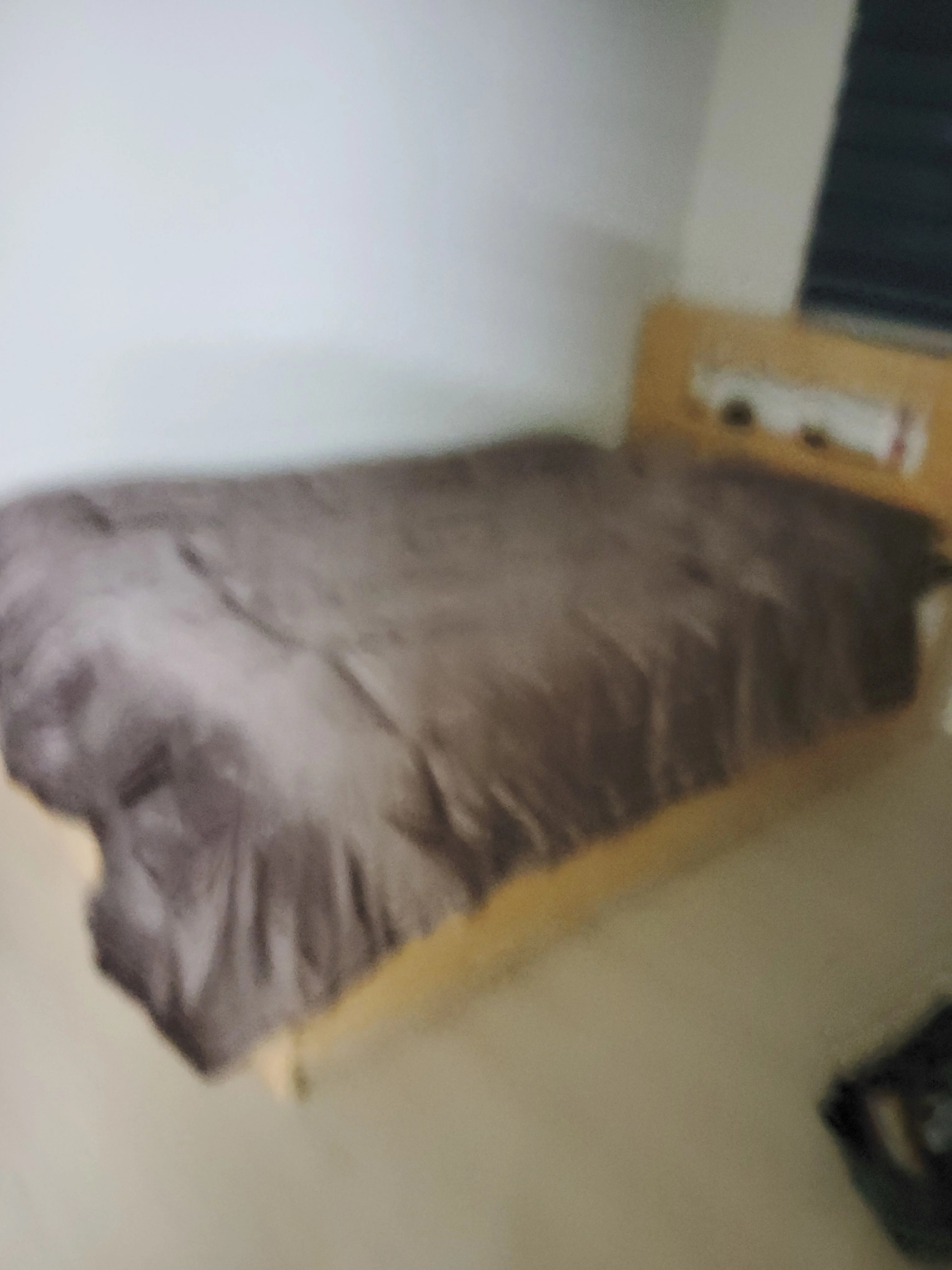 2511280009068.jpg