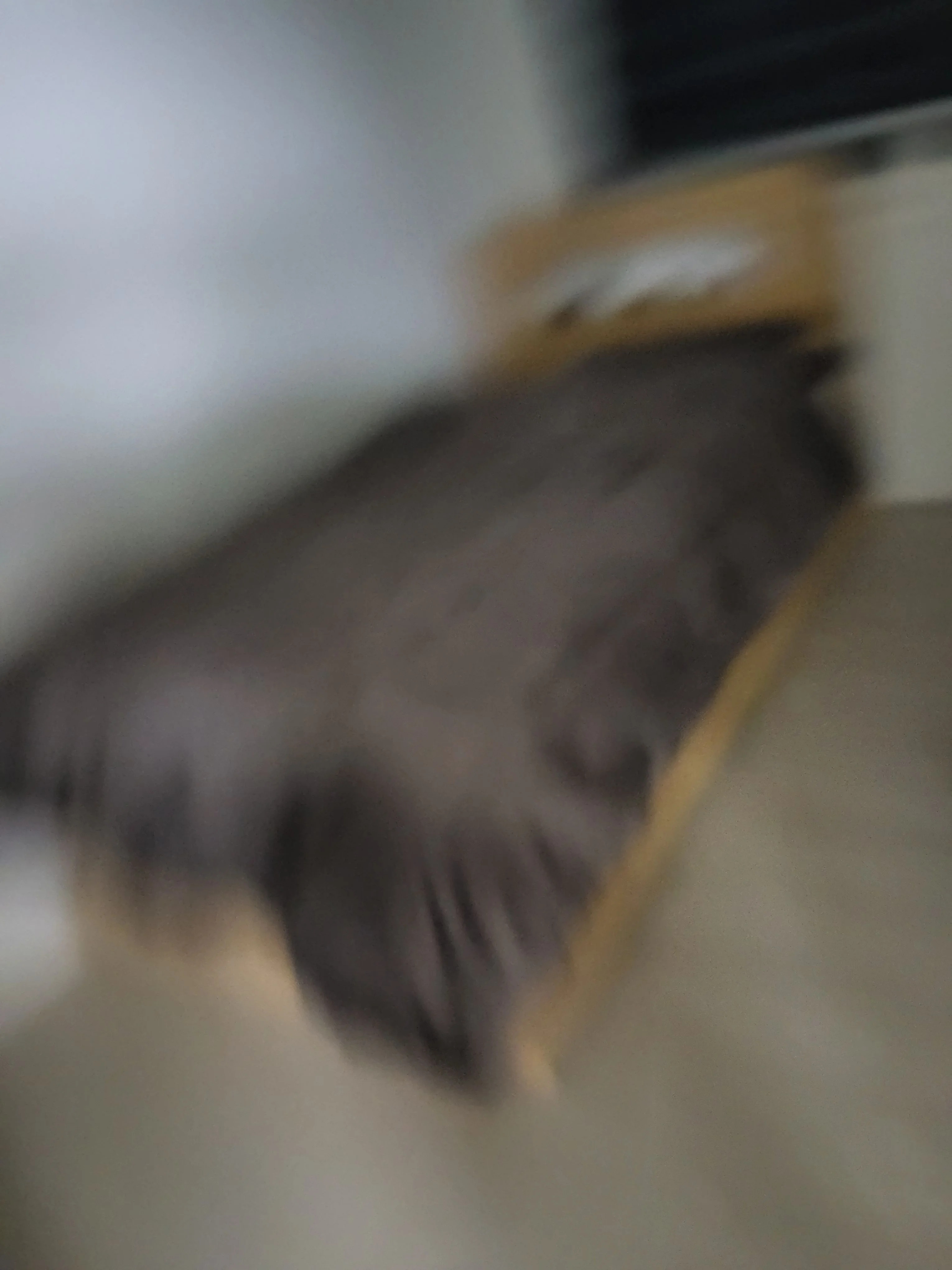 2511280009069.jpg