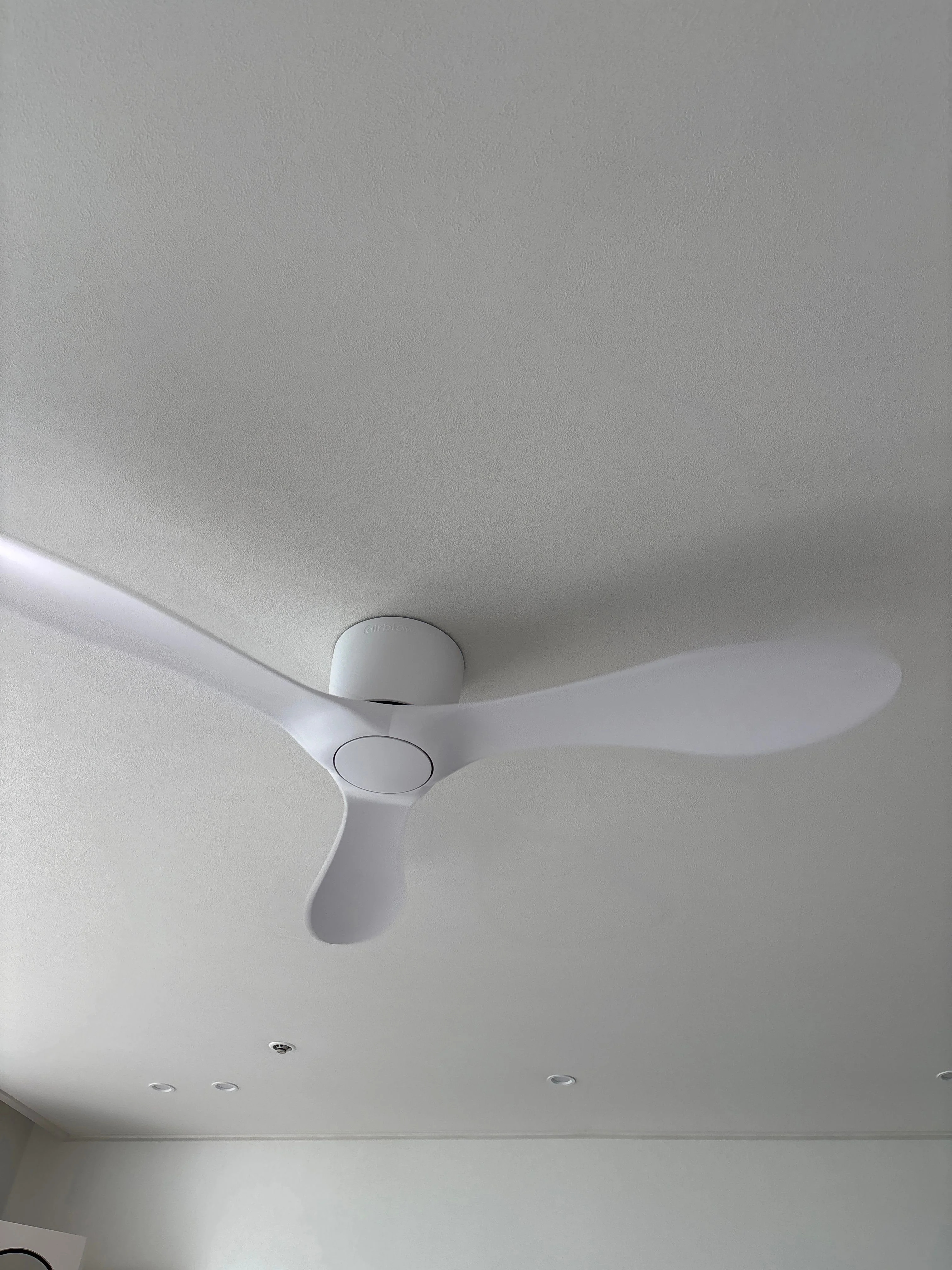 2606170023565.jpg