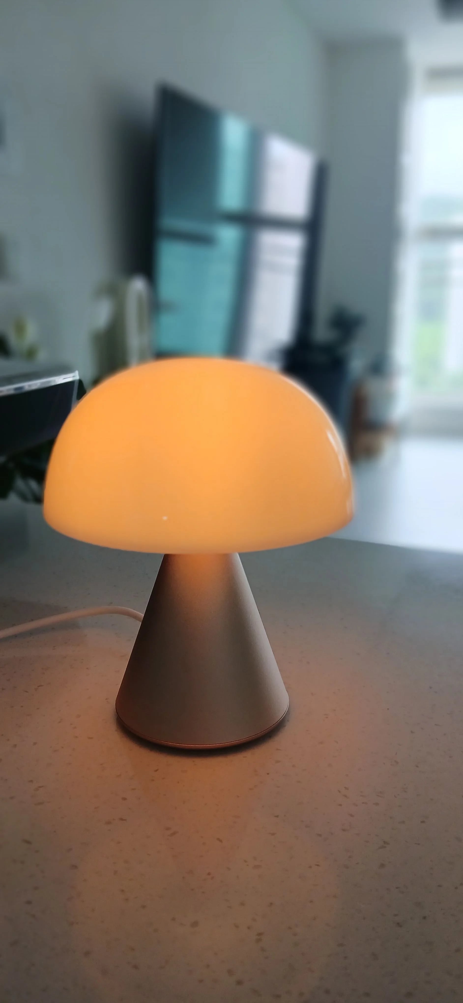 2607230028016.jpg
