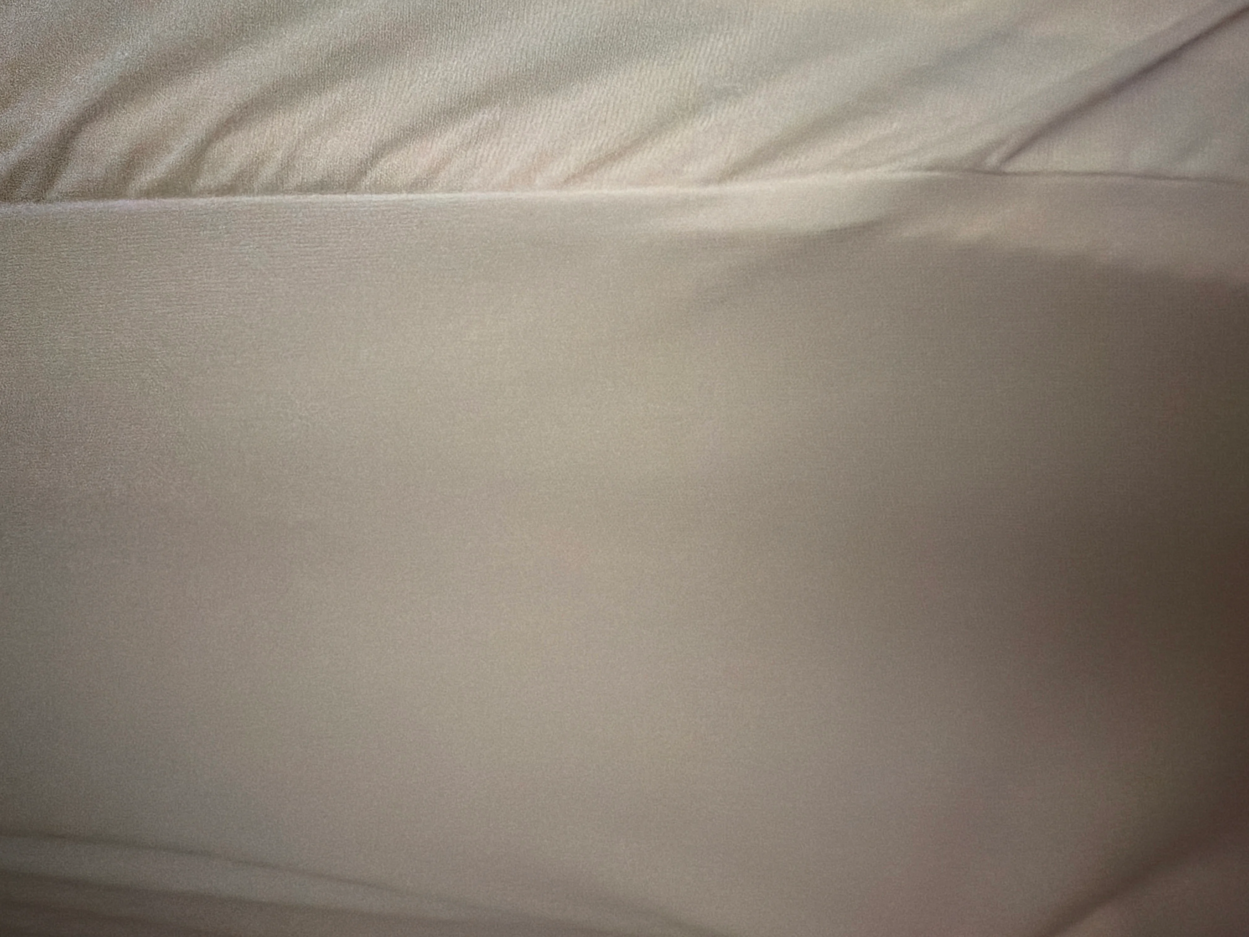 2608060029262.jpg