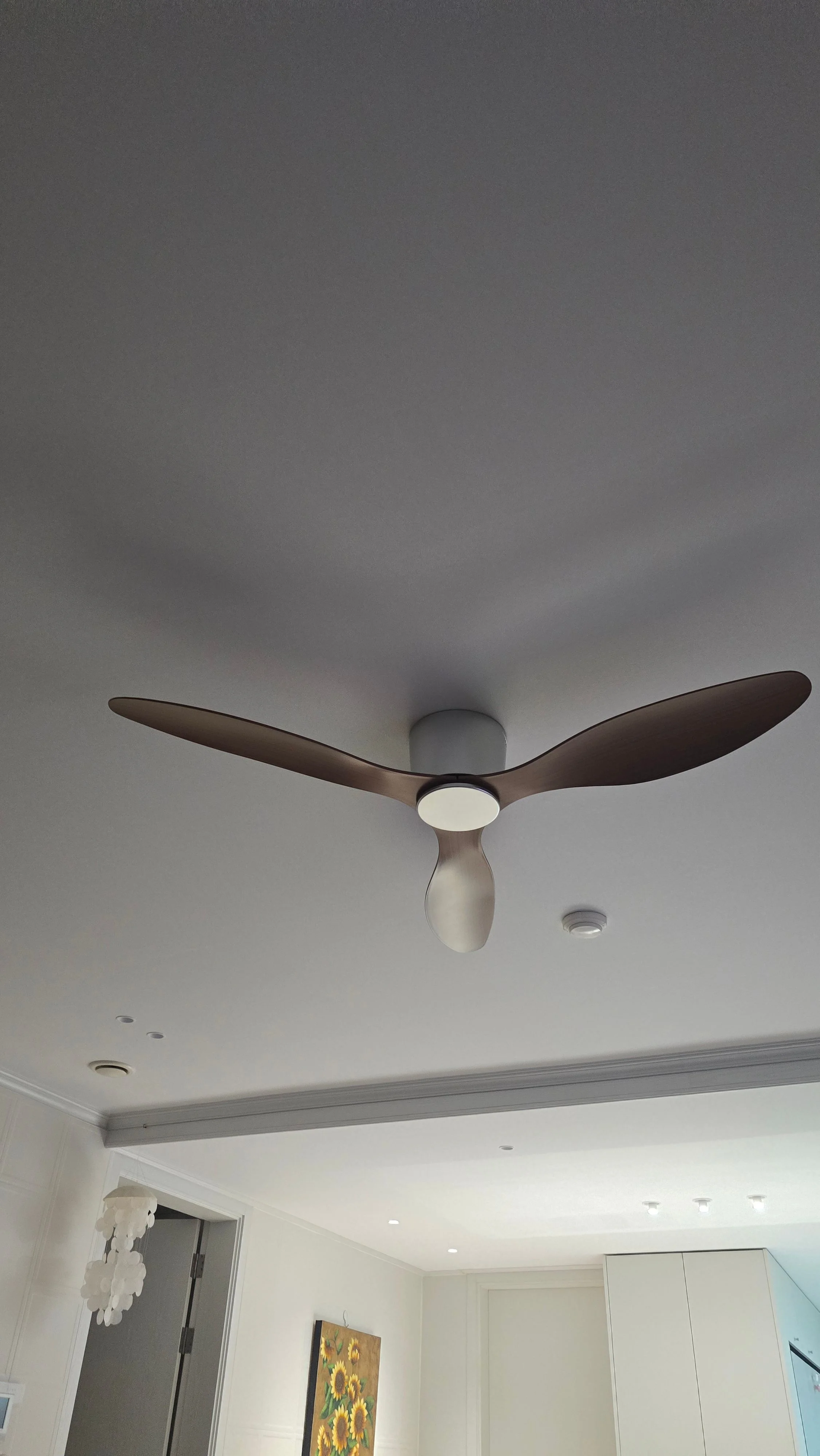 2608070029320.jpg