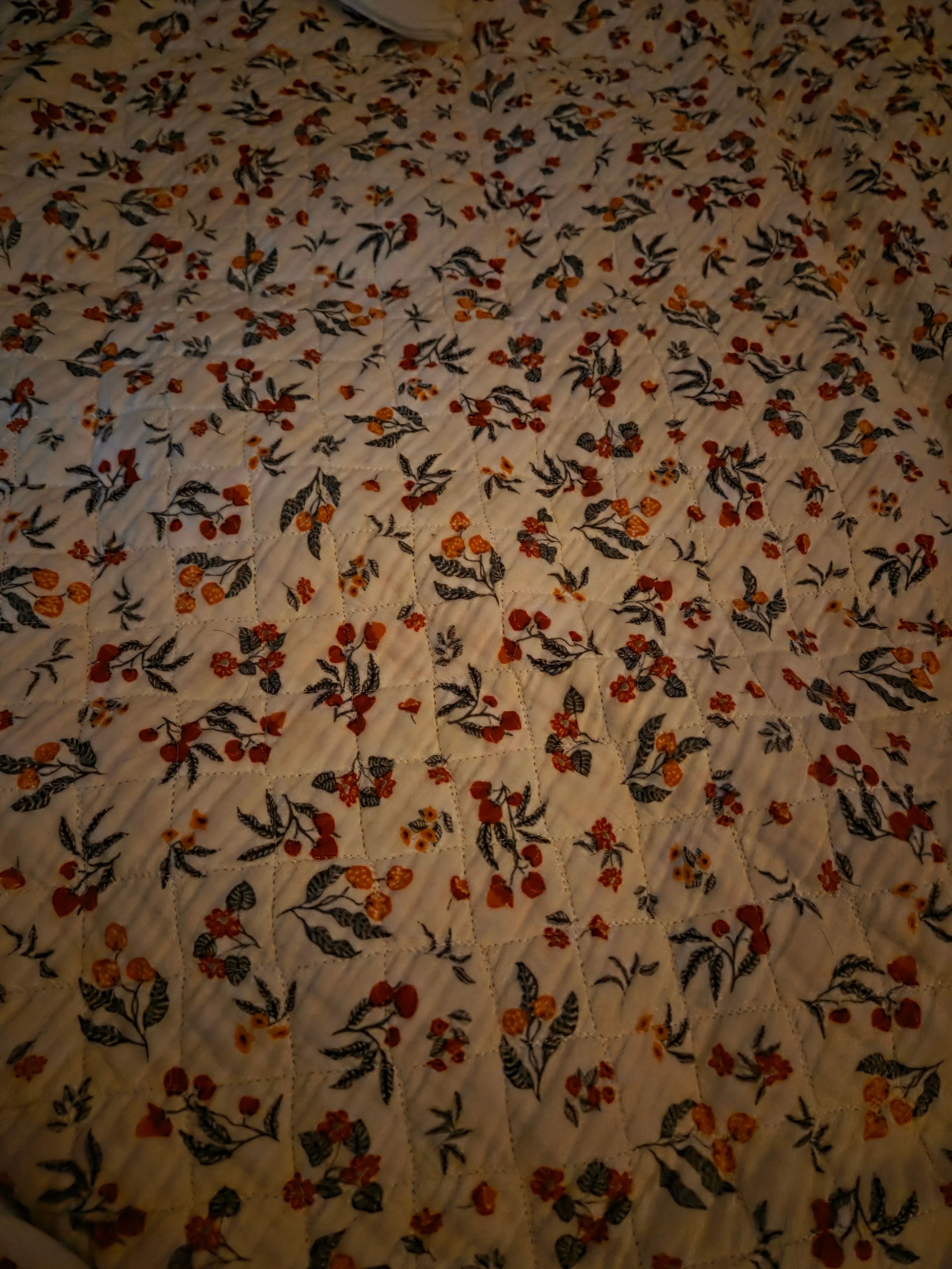 2609260033371.jpg